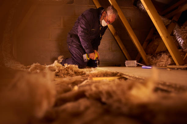Best Professional Insulation Contractor  in Manhattan, IL